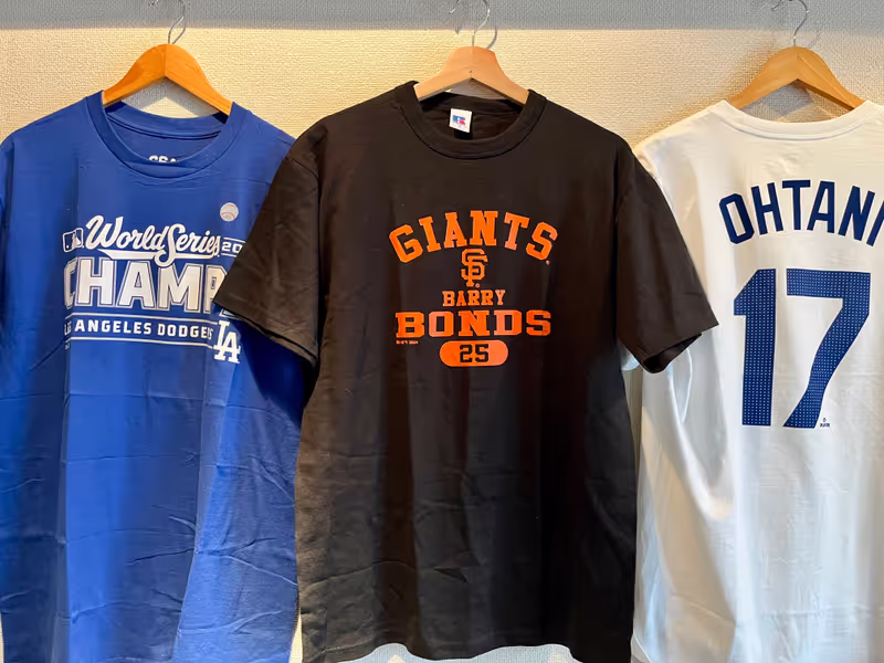 Kanagawa Private Tour - Who are for these baseball teams?