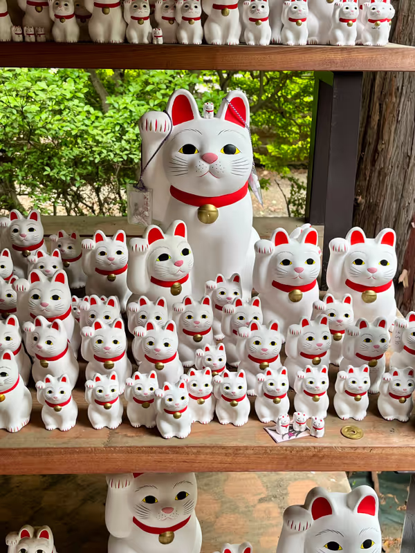 Kanagawa Private Tour - Waving Cats at Gotokuji Temple