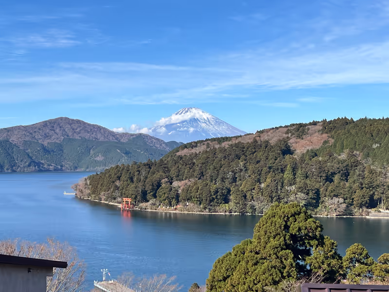 Kanagawa Private Tour - Fujisan from Hakone