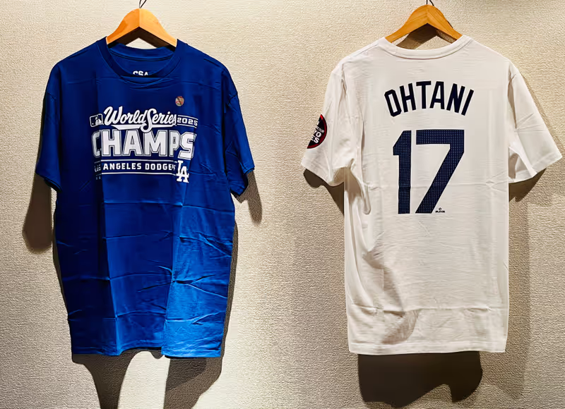 Kanagawa Private Tour - Who loves baseball?