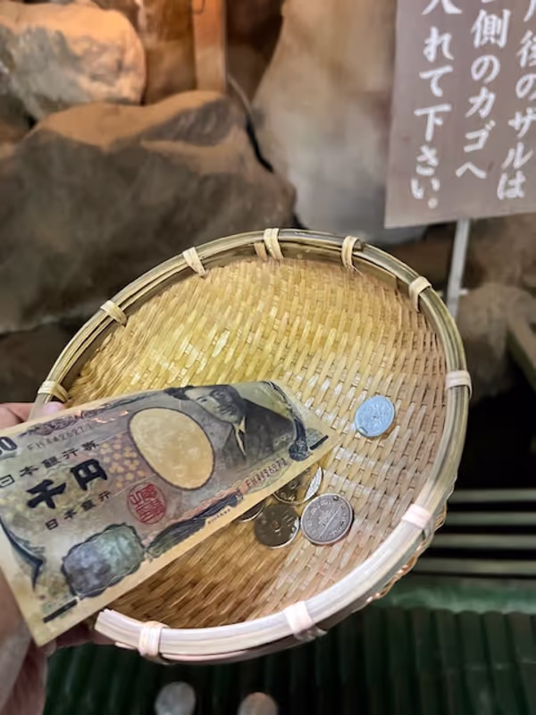 Kanagawa Private Tour - Kamakura Zeniarai Benzaiten Shrine