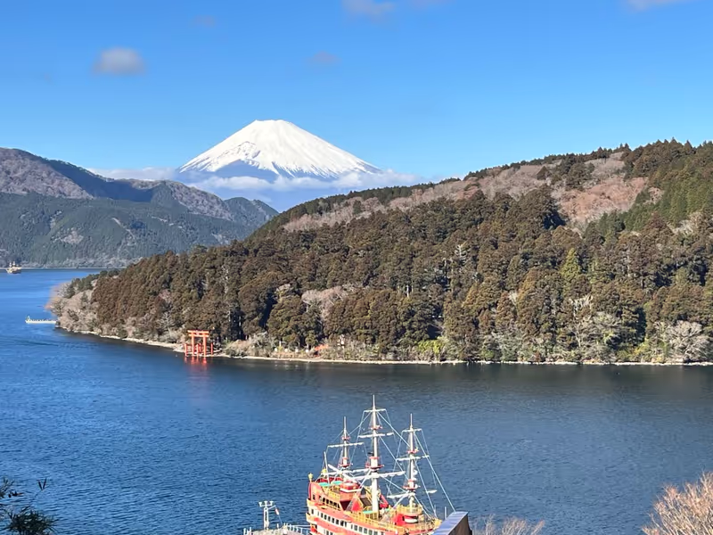 Kanagawa Private Tour - Hakone