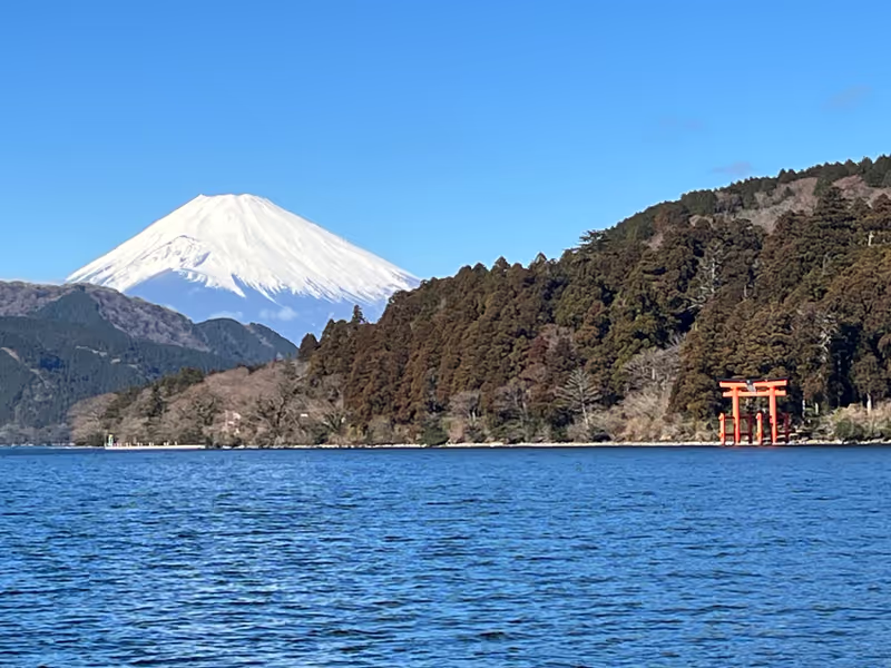 Kanagawa Private Tour - Hakone