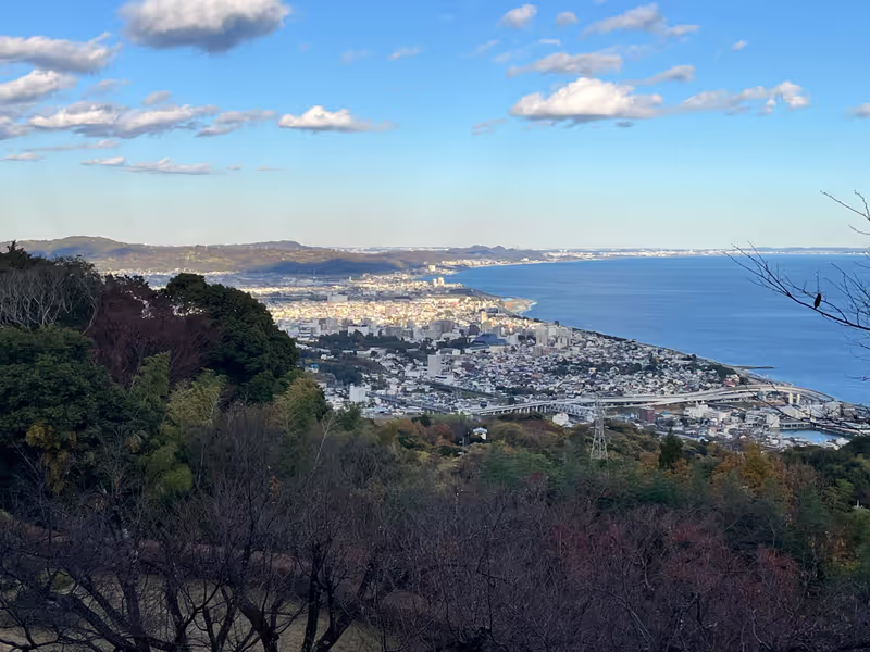 Kanagawa Private Tour - Look down Odawara Castle from Taiko's Overnight Castle site