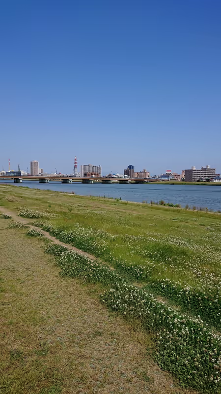 Niigata Private Tour - Shinano Riverbank view