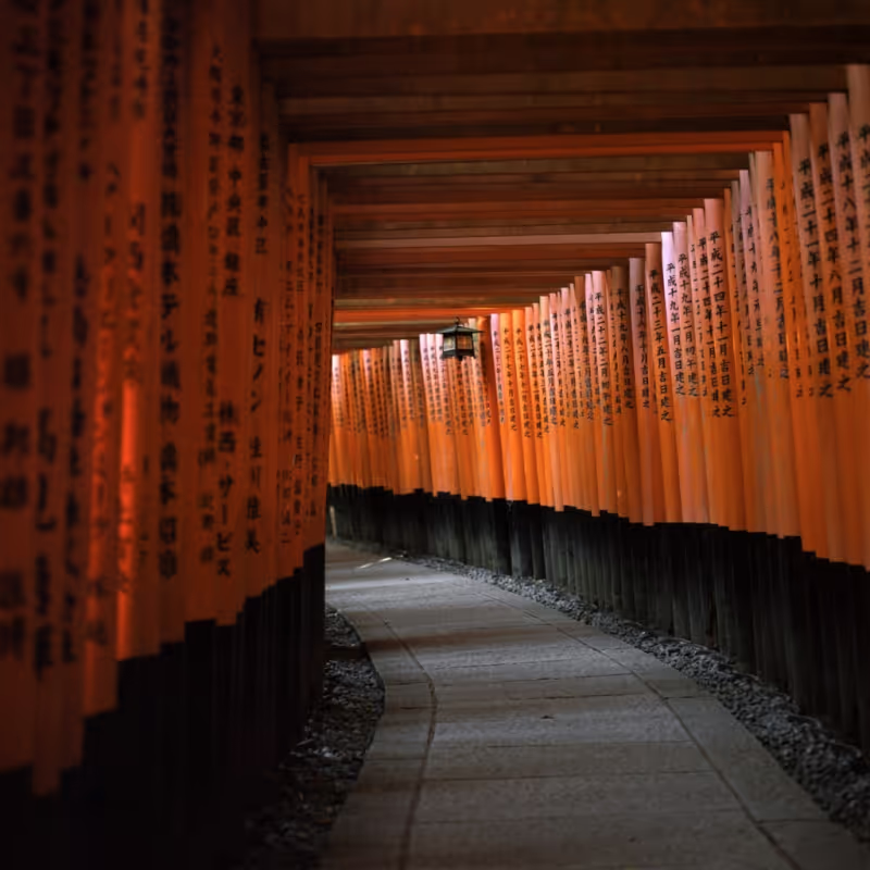 Kyoto Private Tour - Fushimi Inari, uno de mis sitios favoritos
