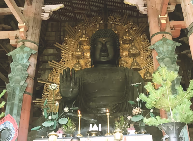 Osaka Private Tour - Great Buddha Statue, Nara