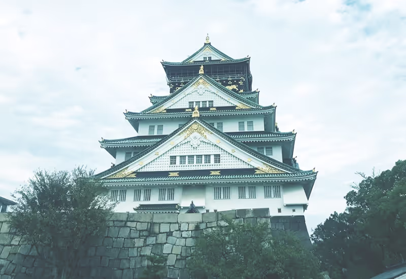 Osaka Private Tour - Osaka Castle