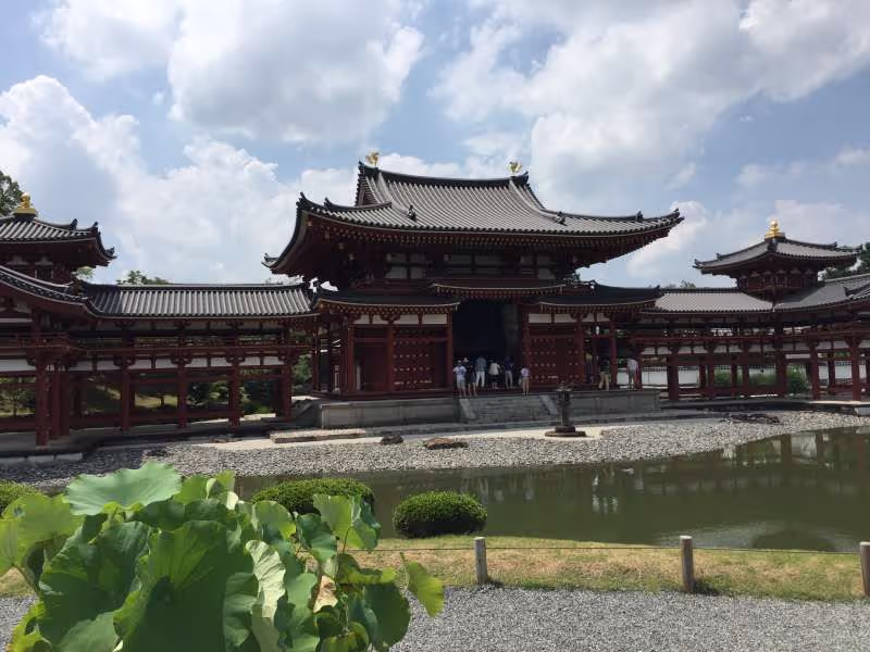 Osaka Private Tour - null