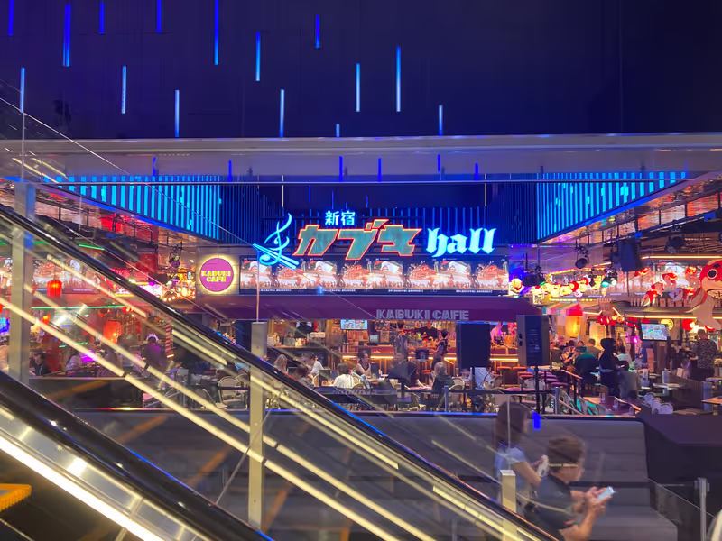 Tokyo Private Tour - The latest spot in the sleepless city