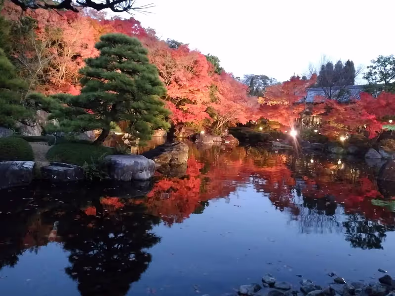 Hyogo Private Tour - 