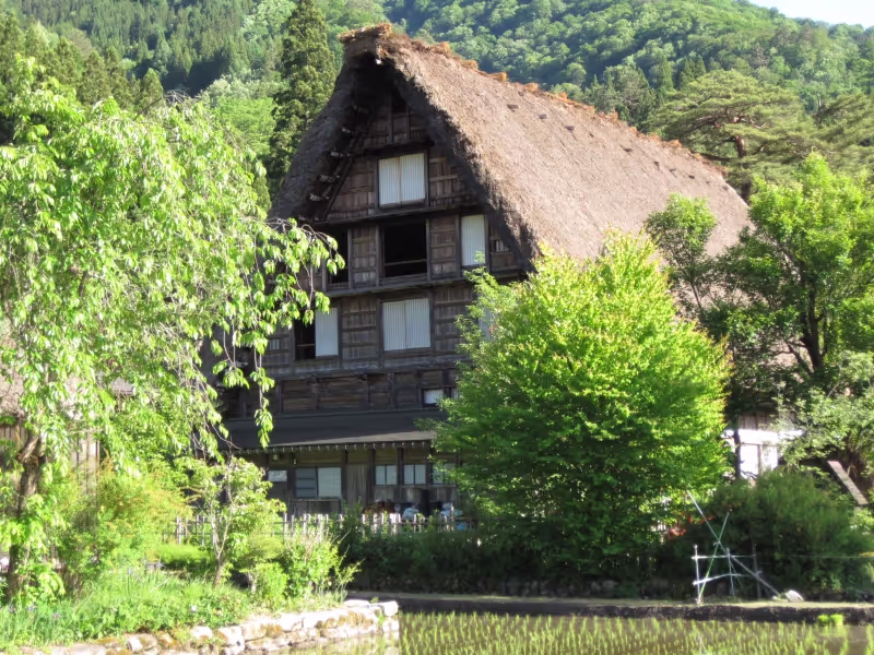 Fukui Private Tour - null