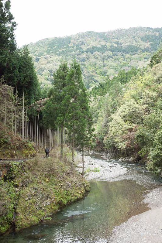 Kyoto Private Tour - On the way to Kiyotaki, Kyoto