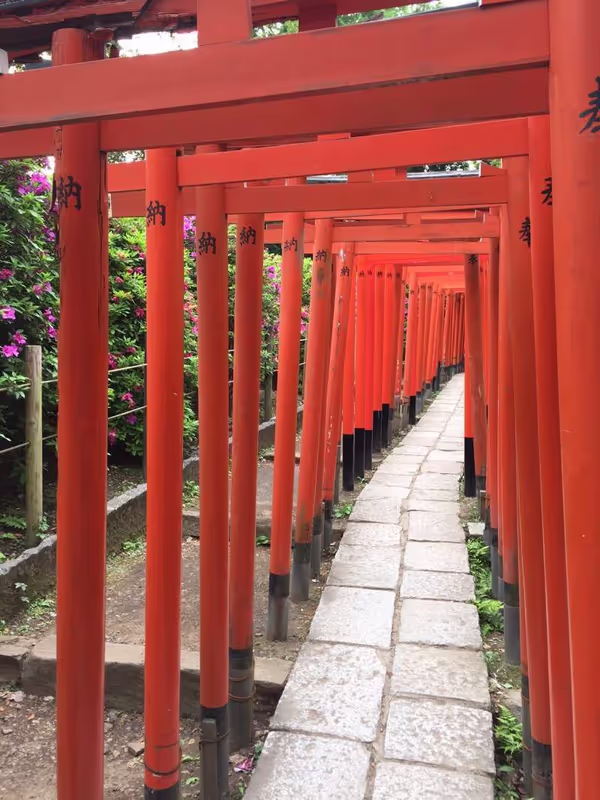 Okayama Private Tour - When you go through this red torii tunnel, your dream may come true!!