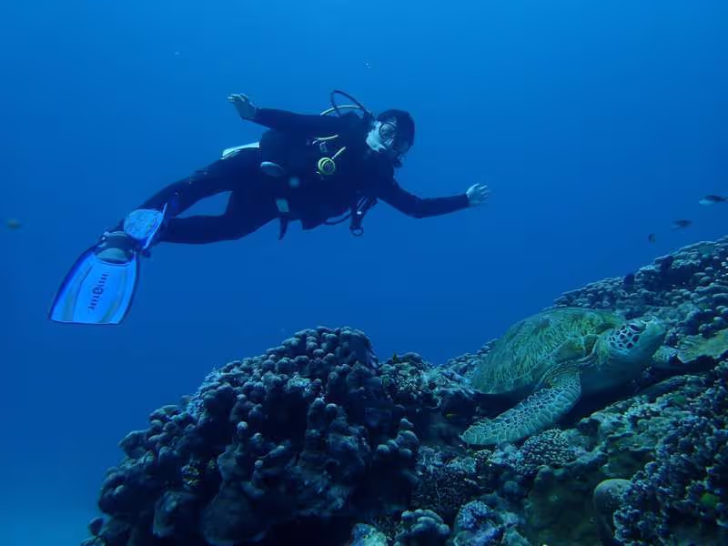 Nagano Private Tour - I'm a scuba diver too