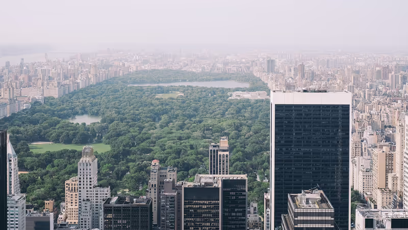 New York Private Tour - Central Park in New York