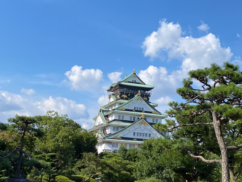 Osaka Private Tour - Osaka Castle