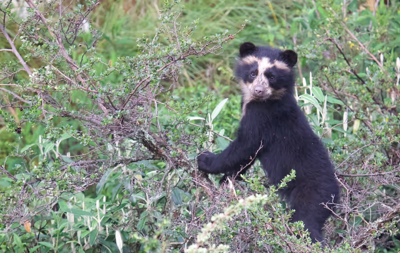 Pichincha Private Tour - 