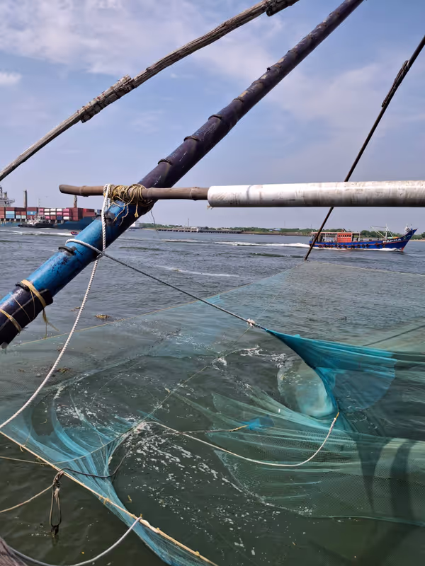 Kerala Private Tour - Chinese Fishing Net at Fort Kochi