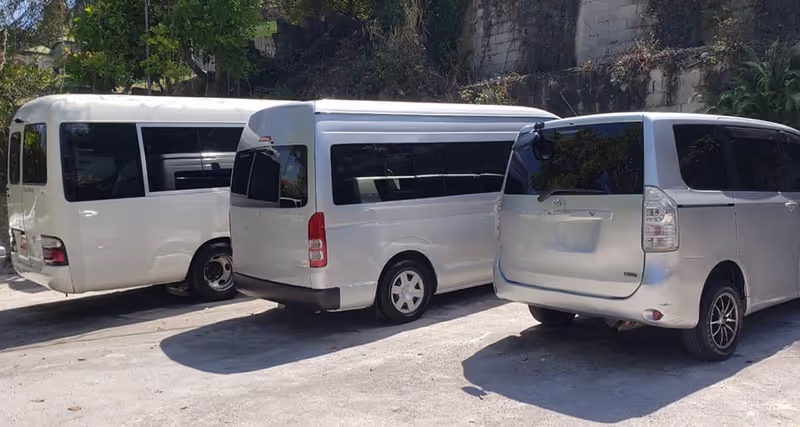 Montego Bay Private Tour - 