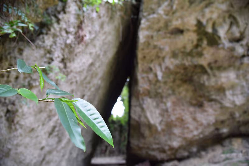 Okinawa Main Island Private Tour - Sefa Utaki