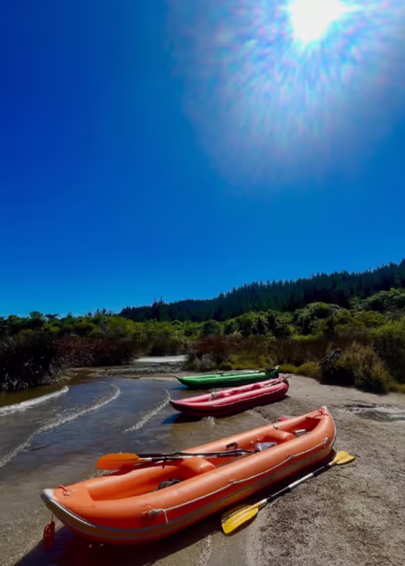Tauranga Private Tour - 
