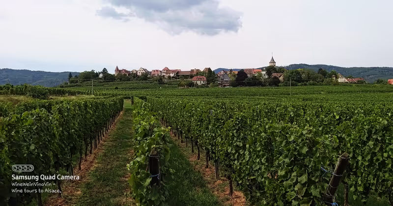 Alsace Private Tour - Picturesque hamlets amongst the vines.