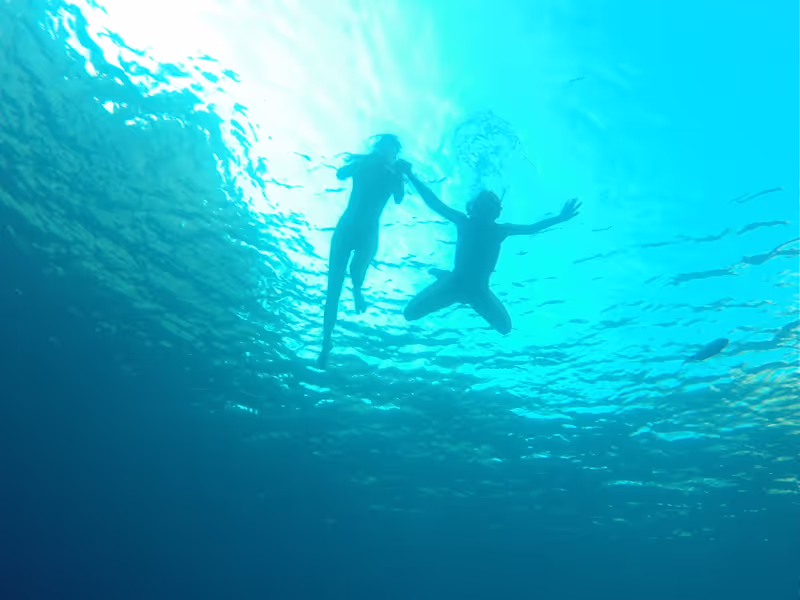 Provence-Alpes-Cote d'Azur Private Tour - Snorkeling excursions