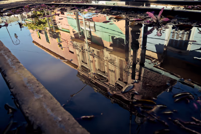 Buenos Aires Private Tour - Casa Rosada - The Pink House