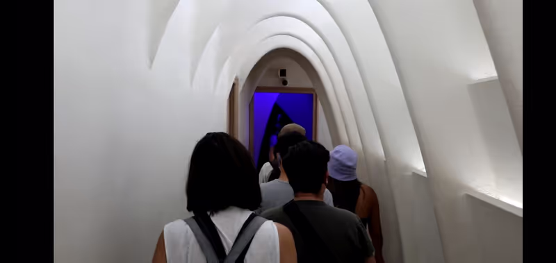 Barcelona Private Tour - Entering Gaudí's architecture