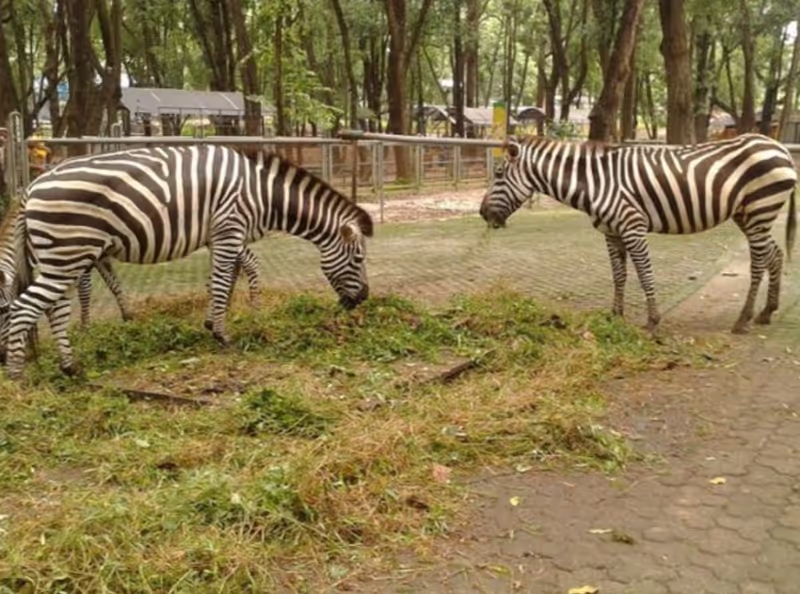 Jakarta Private Tour - 