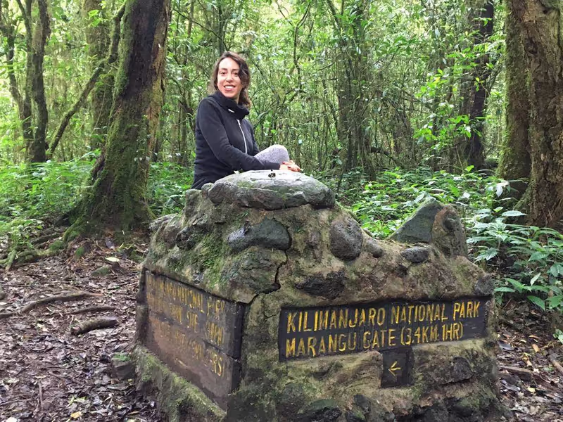 Moshi Private Tour - A stop on the way down from Mandara Hut
