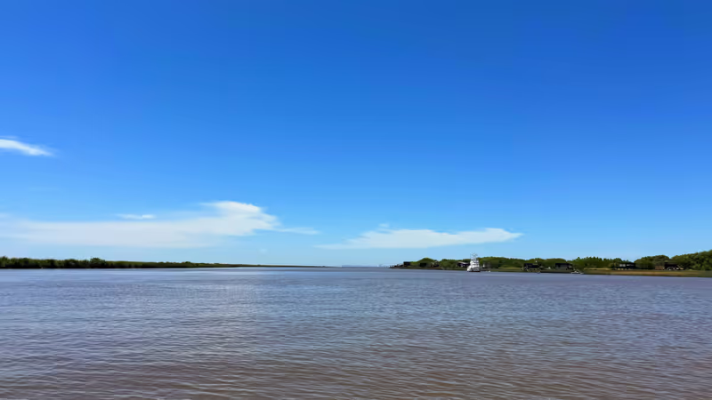 Buenos Aires Private Tour - Delta