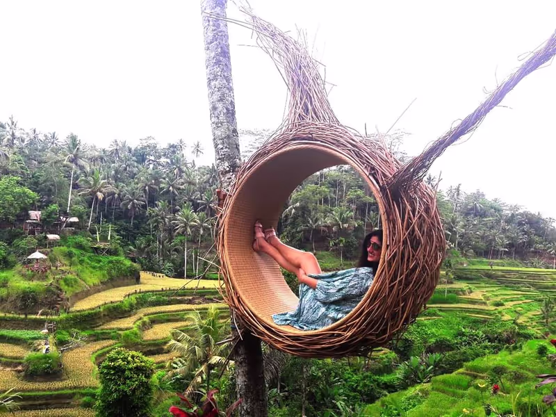 Bali Private Tour - Tegallang rice terrce