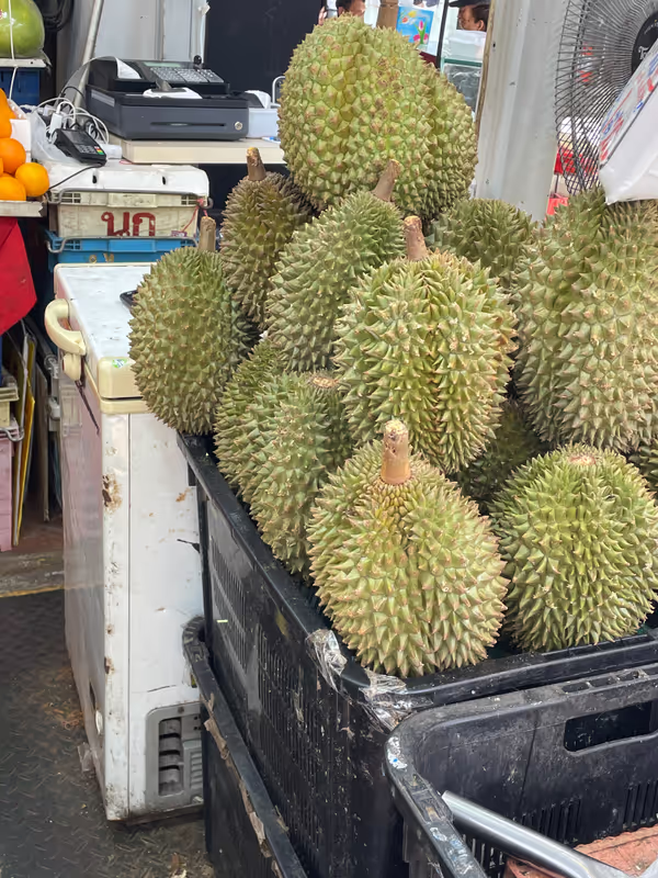 Singapore Private Tour - King of fruits - durian
