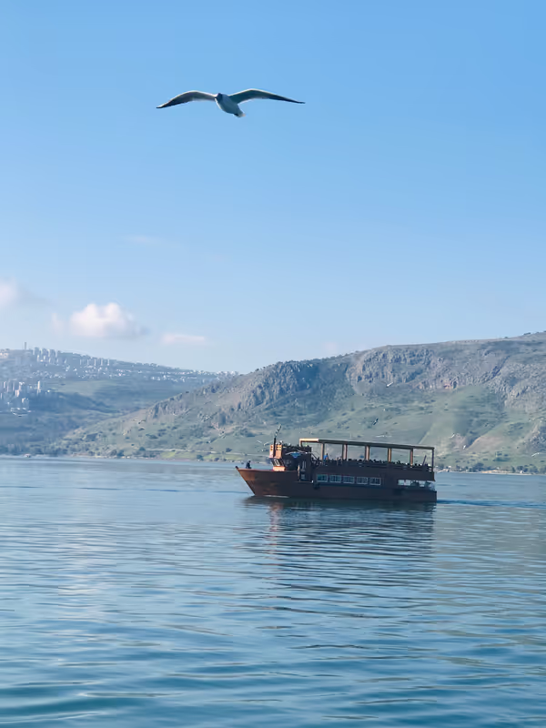 HaDarom Private Tour - Sea of Galilee