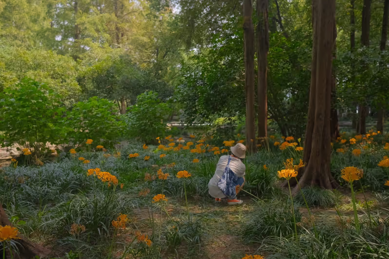 Hangzhou Private Tour - We were in the botanical gardens.
