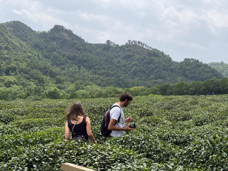 Hangzhou Private Tour - We were in a tea garden in Hangzhou.