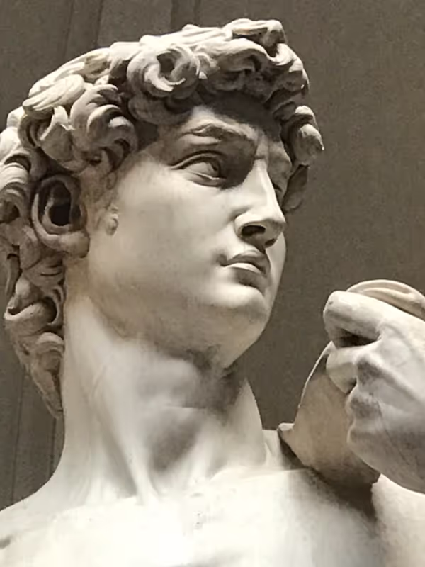 Florence Private Tour - David 