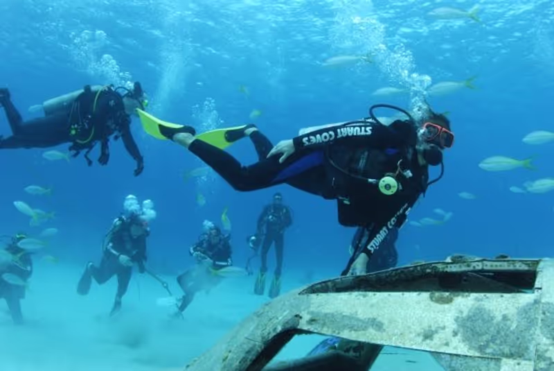 Araucania Private Tour - Diving 