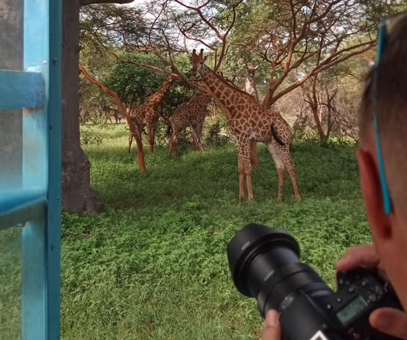 Dakar Private Tour - Safari Game Drive 