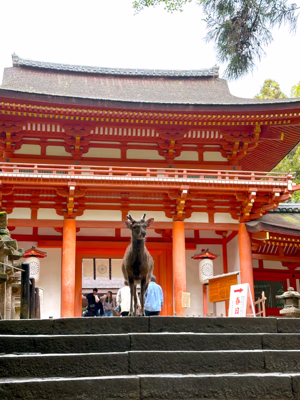 Kyoto Private Tour - 