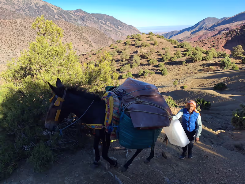 Ouarzazate Private Tour - 