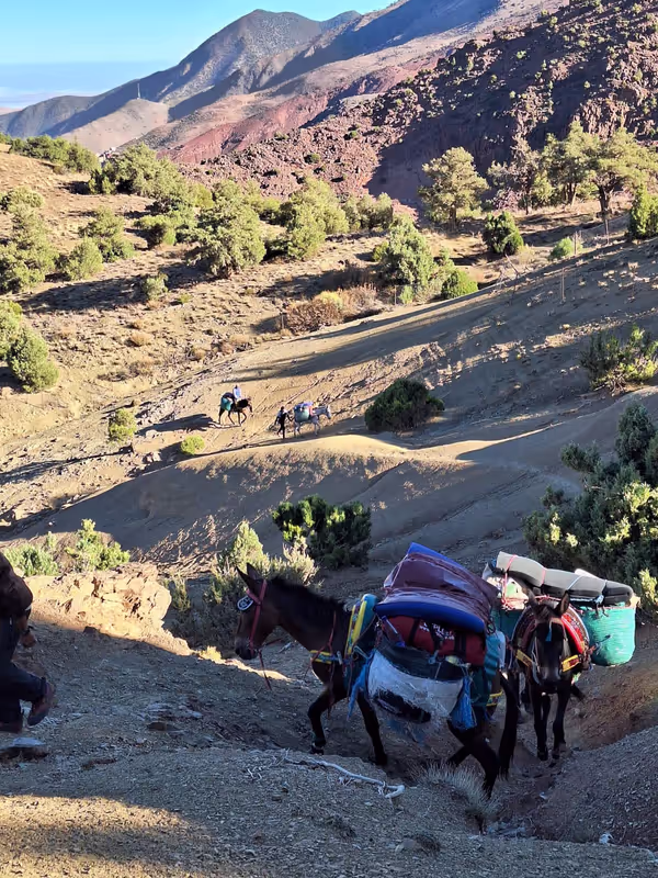 Ouarzazate Private Tour - 