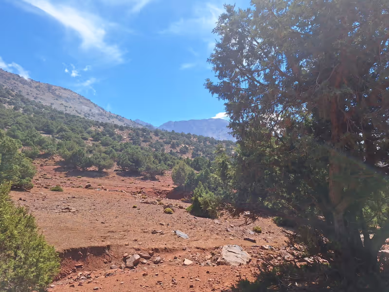 Ouarzazate Private Tour - 