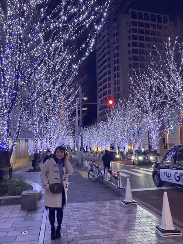 Yokohama Private Tour - Roppongi sparking night view limited in winter