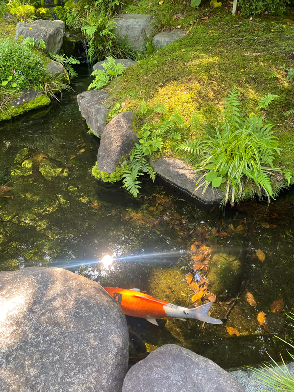 Tokyo Private Tour - Kamakura - Hasedera 