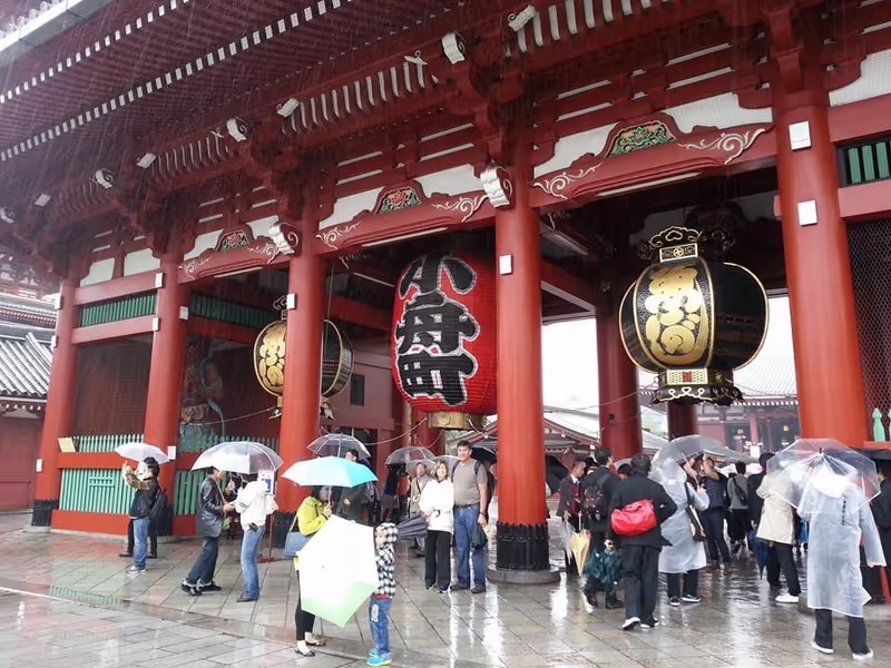 Tokyo Private Tour - Asakusa Sensoji Temple 