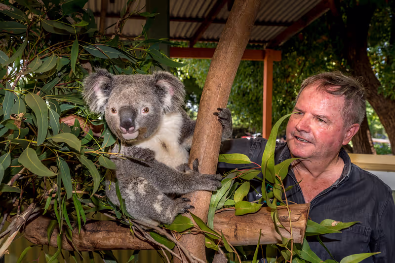 Sydney Private Tour - VIP upclose with a koala
