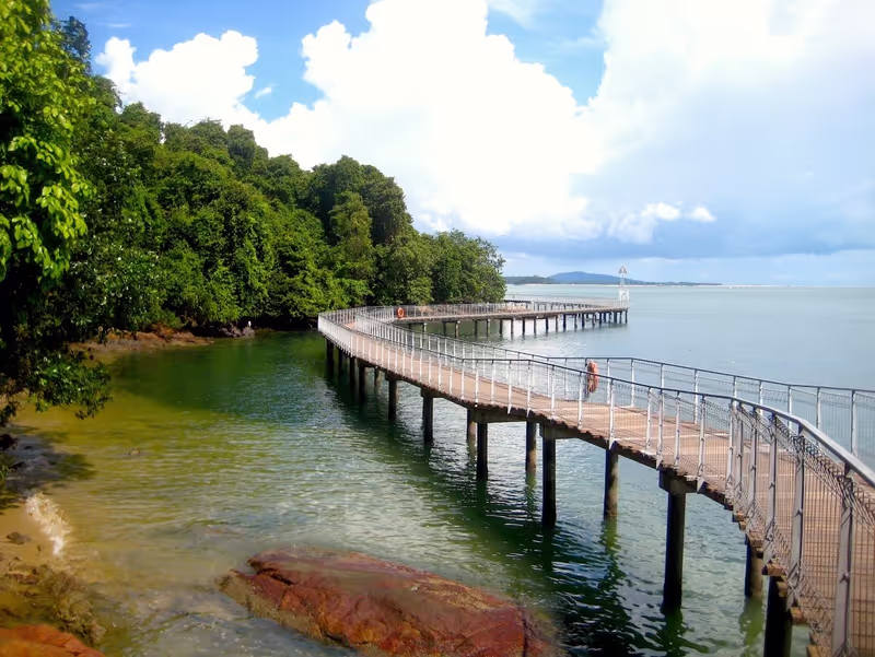 Singapore Private Tour - Scenic coastal boardwalk at Chek Jawa Nature Park